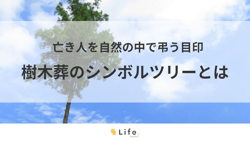 【樹木葬　シンボルツリー】アイキャッチ画像