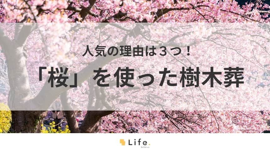 【樹木葬　桜】アイキャッチ