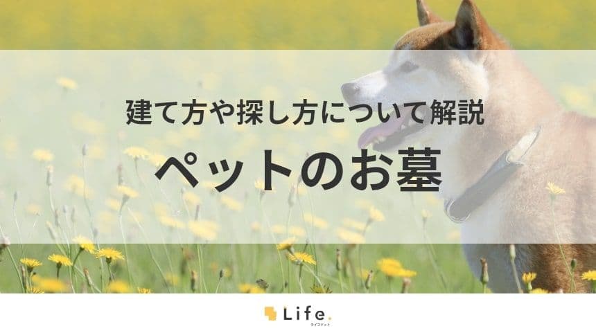 【ペット　お墓】アイキャッチ