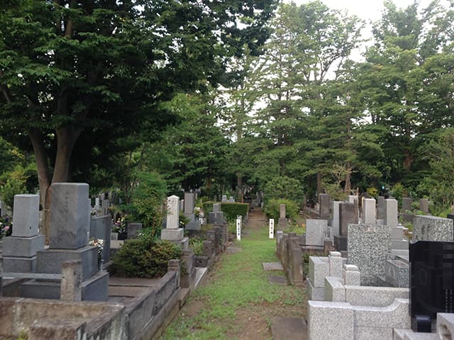 都立 雑司ヶ谷霊園　緑に囲まれた墓域