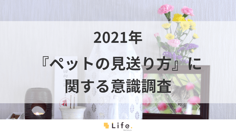 ペット供養調査のアイキャッチ